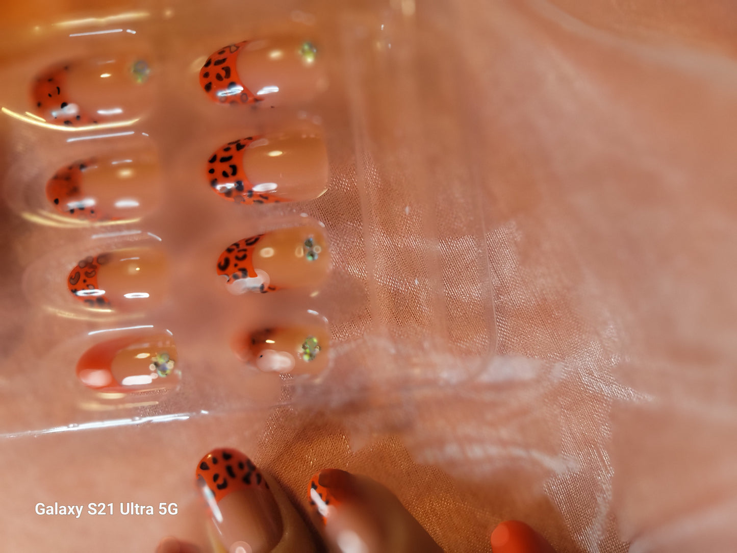 Ms. Lady Bug