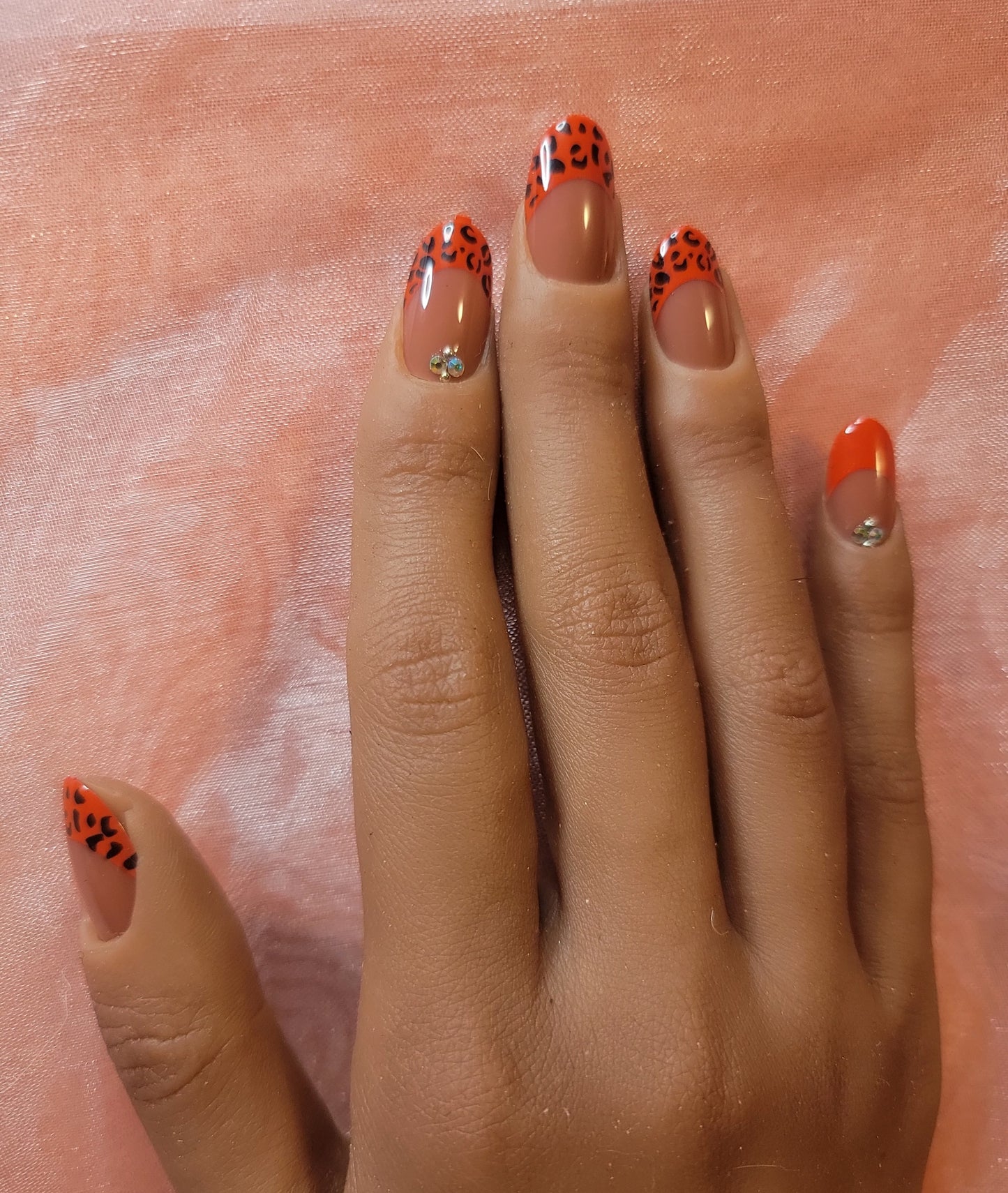 Ms. Lady Bug