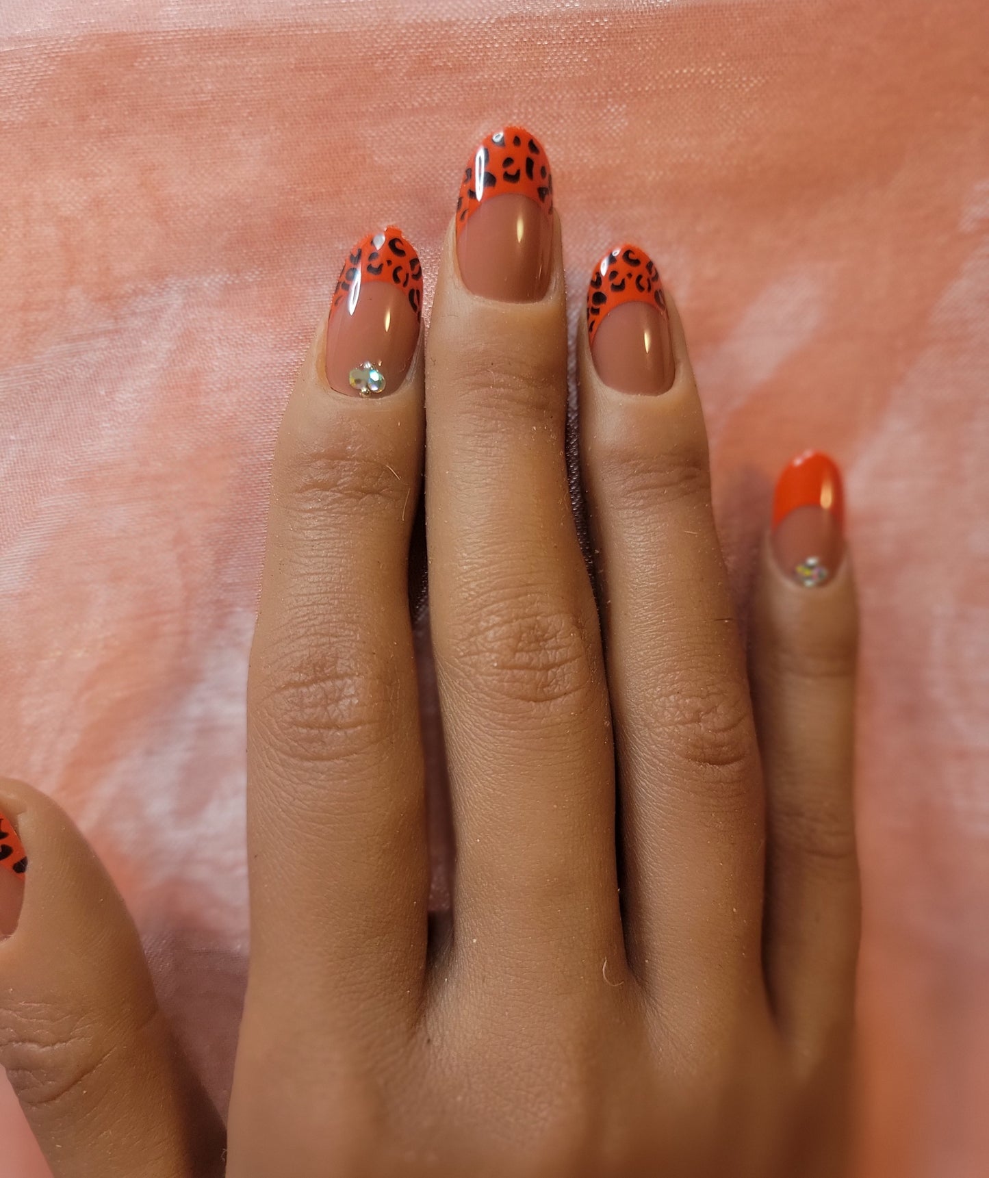 Ms. Lady Bug