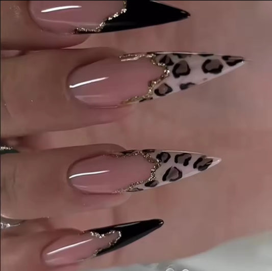 Pet Cheetah