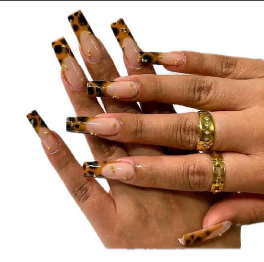 Leopard Beuty