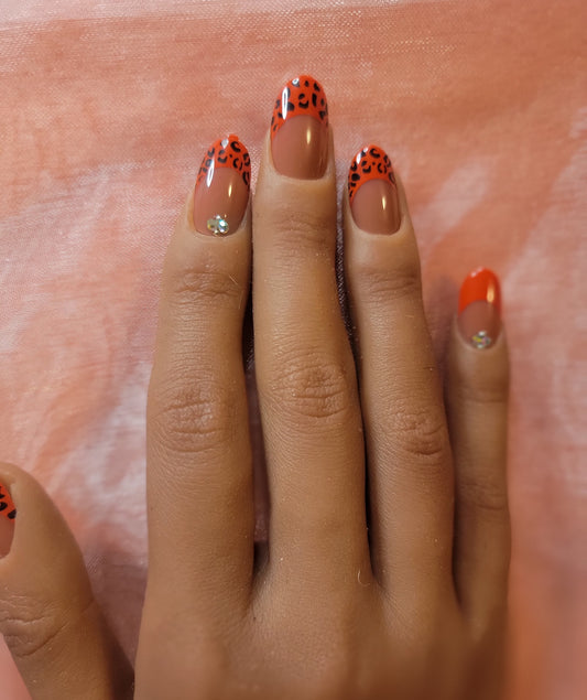 Ms. Lady Bug